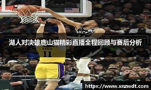 湖人对决雄鹿山猫精彩直播全程回顾与赛后分析